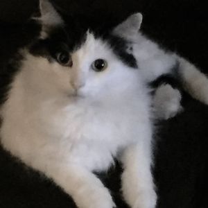 Meet your Posher, Trudy